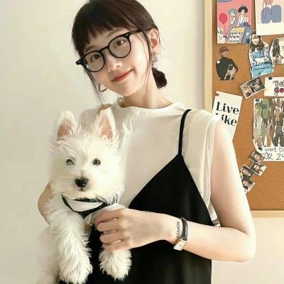 清潭春晓 海报